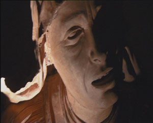 Il pianto della statua. Nelle sculture sacre in terracotta di Nicolò dell'Arca, Guido Mazzoni, Antonio Begarelli.